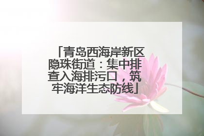 青岛西海岸新区隐珠街道：集中排查入海排污口，筑牢海洋生态防线